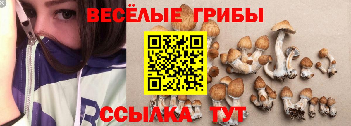 Нальчик  Галлюциногенные грибы GOLDEN TEACHER  Вход с VPN 